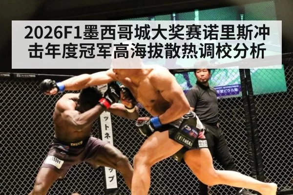 2026F1墨西哥城大奖赛诺里斯冲击年度冠军高海拔散热调校分析