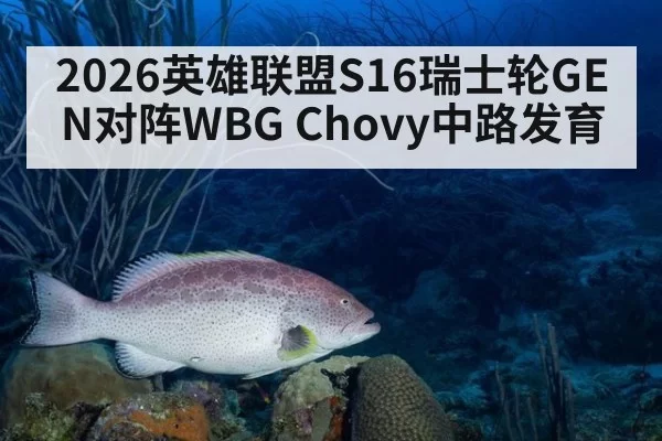 2026英雄联盟S16瑞士轮GEN对阵WBG Chovy中路发育